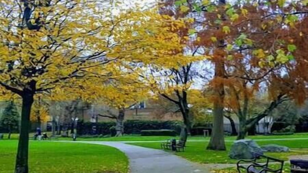 Photo of Outdoor in Kilburn
