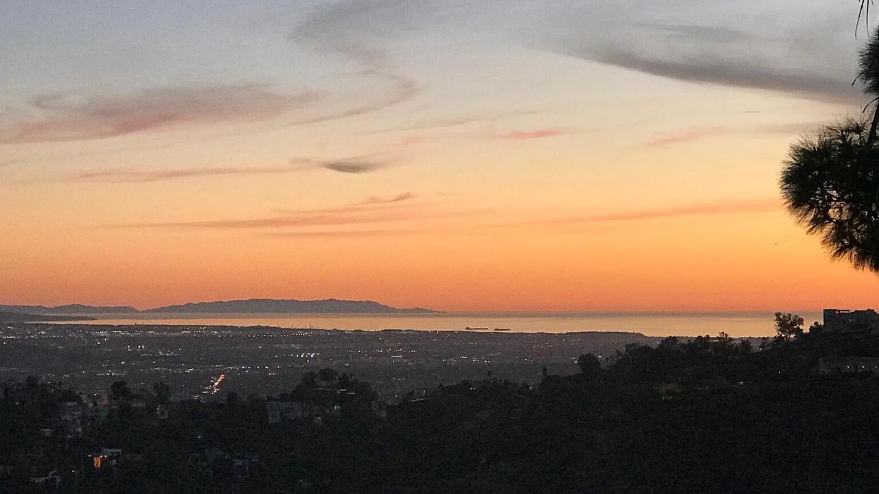 Photo of Others in Hollywood Hills West