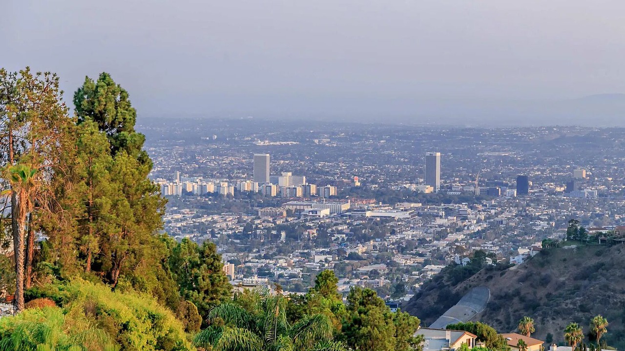 Photo of Others in Hollywood Hills West