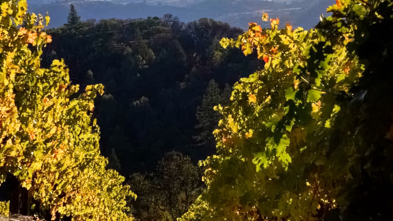 Photo of Others in Cazadero