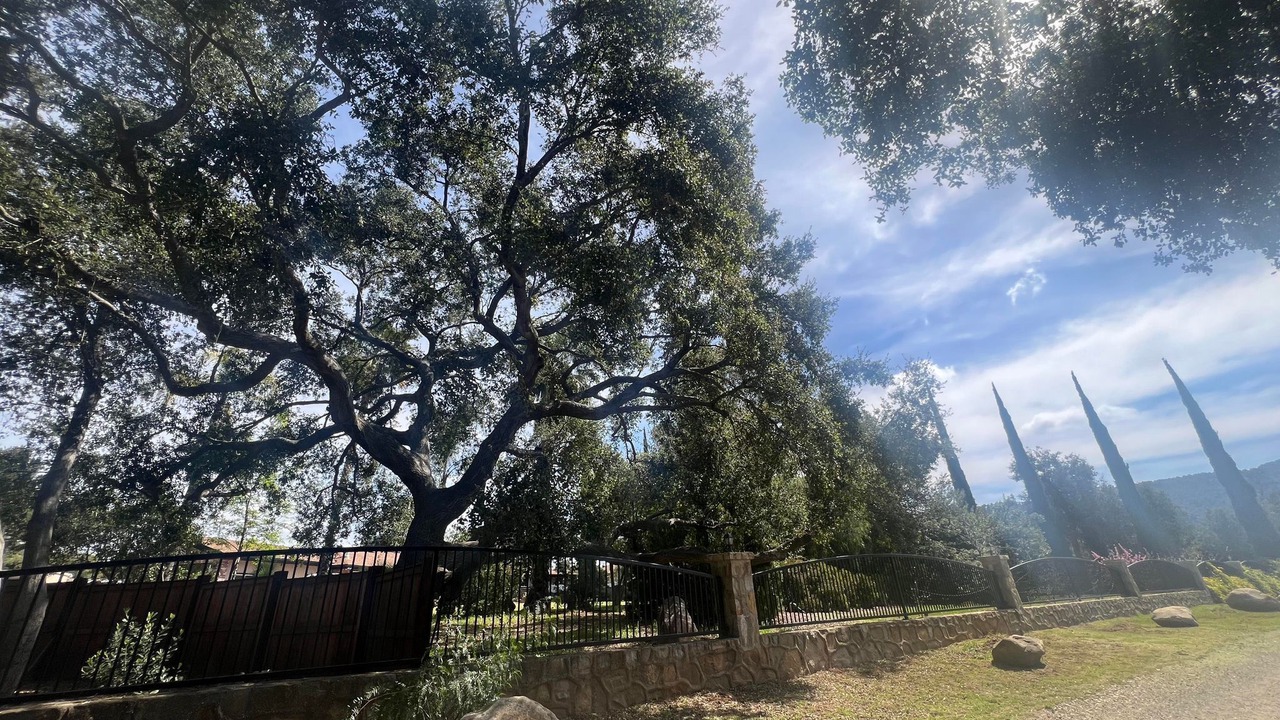Photo of Outdoor in Ojai