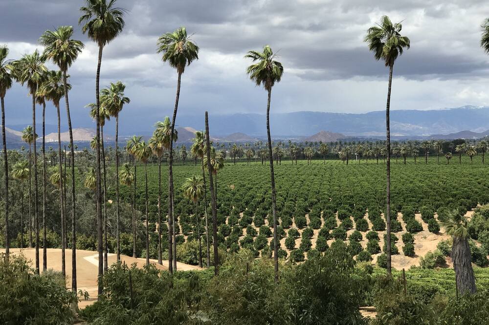 Photo of Outdoor in Riverside