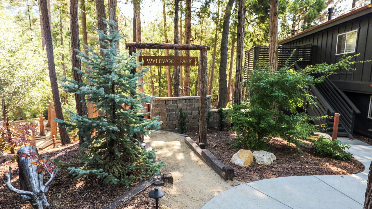 Photo of Outdoor in Idyllwild