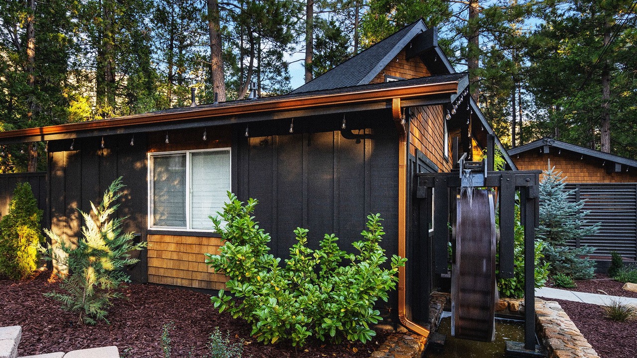 Photo of Outdoor in Idyllwild