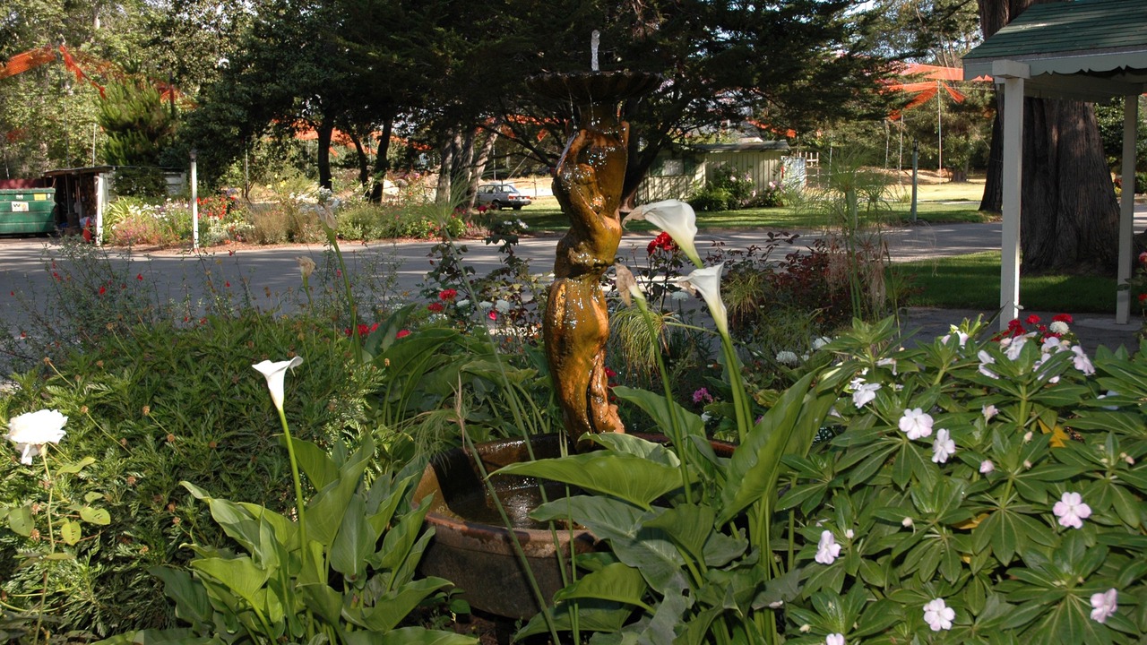 Photo of Outdoor in Mission Fields