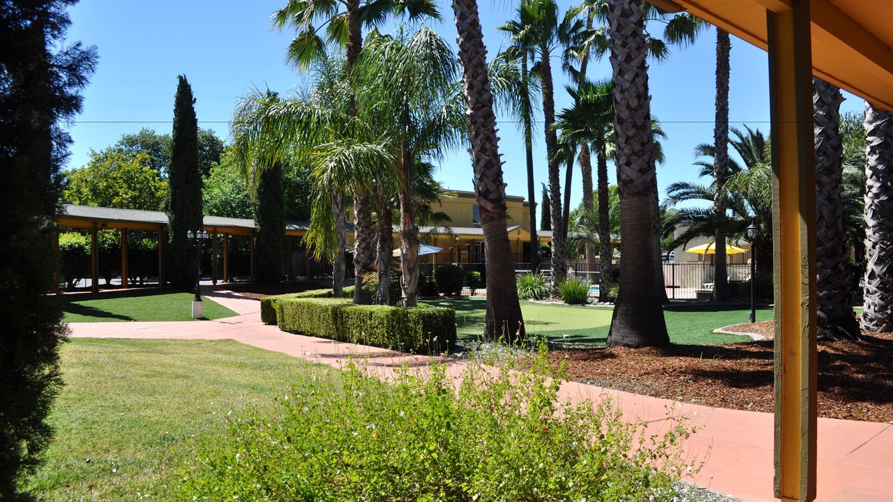 Photo of Outdoor in Davis