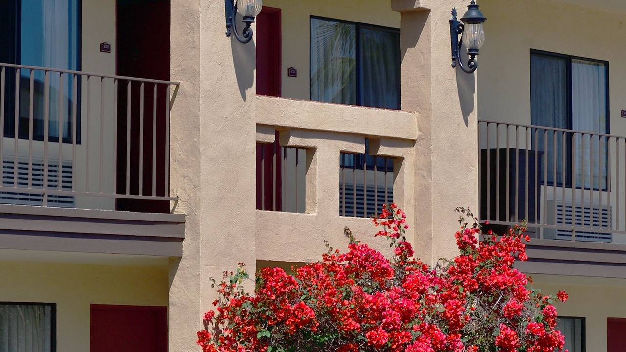 Photo of Outdoor in Rolando Village