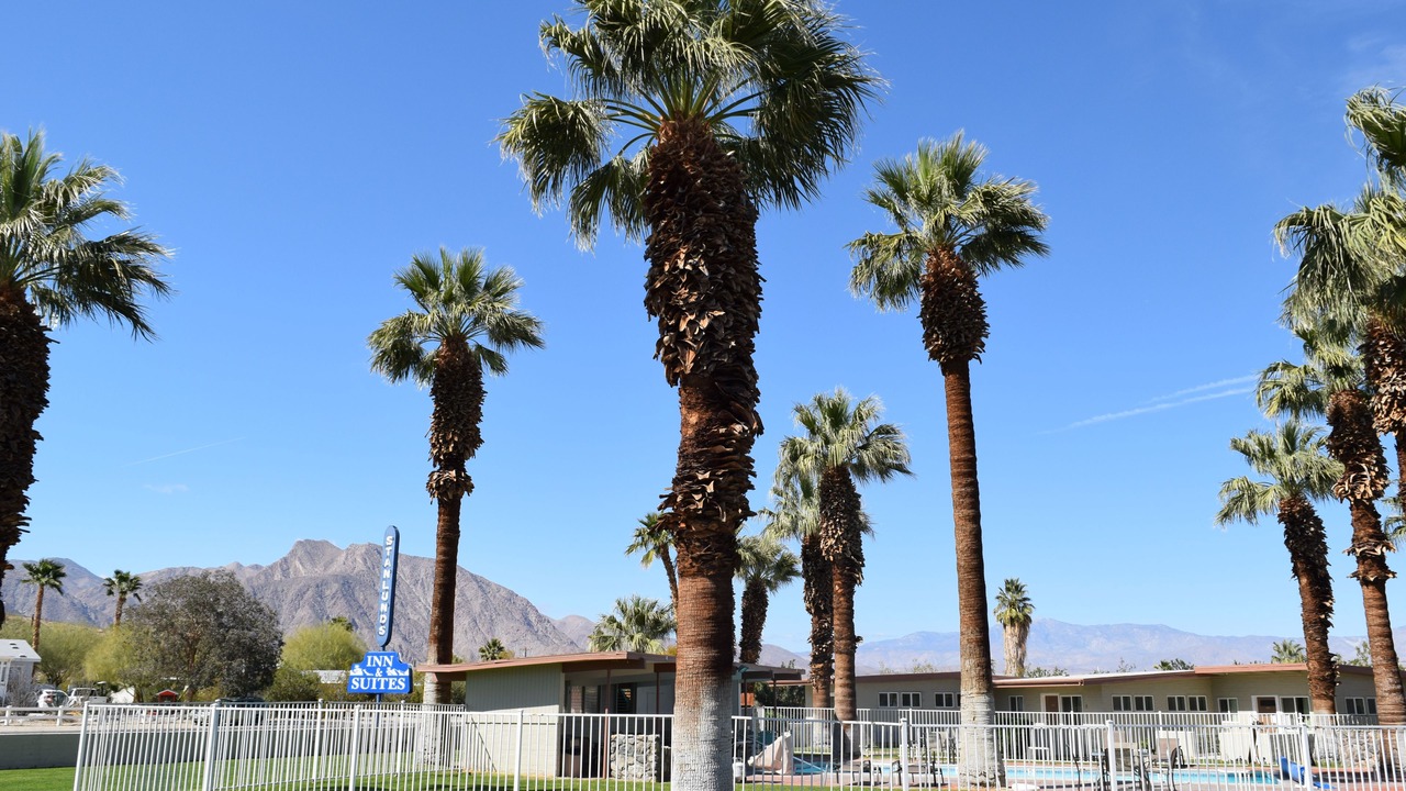 Photo of Others in Borrego Springs