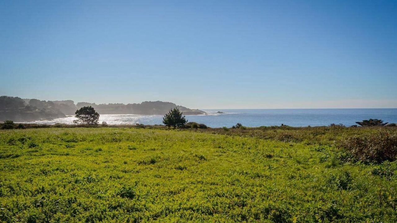 Photo of Others in Mendocino