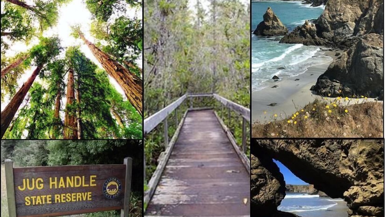 Photo of Others in Mendocino