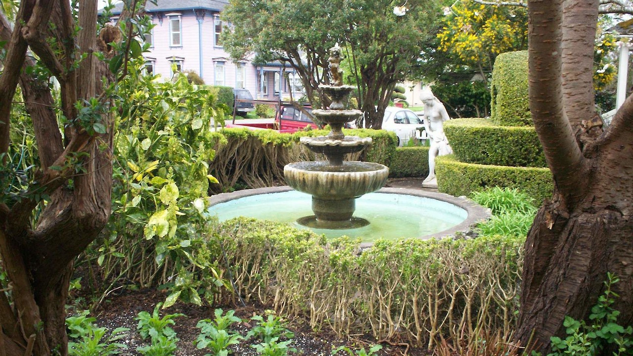 Photo of Outdoor in Ferndale