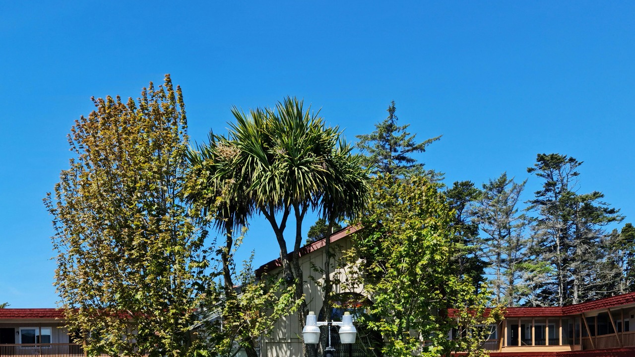 Photo of Others in Crescent City
