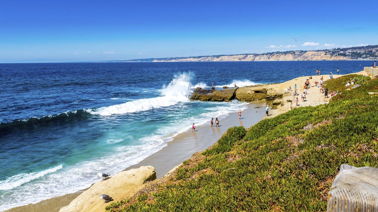 Photo of Others in Solana Beach