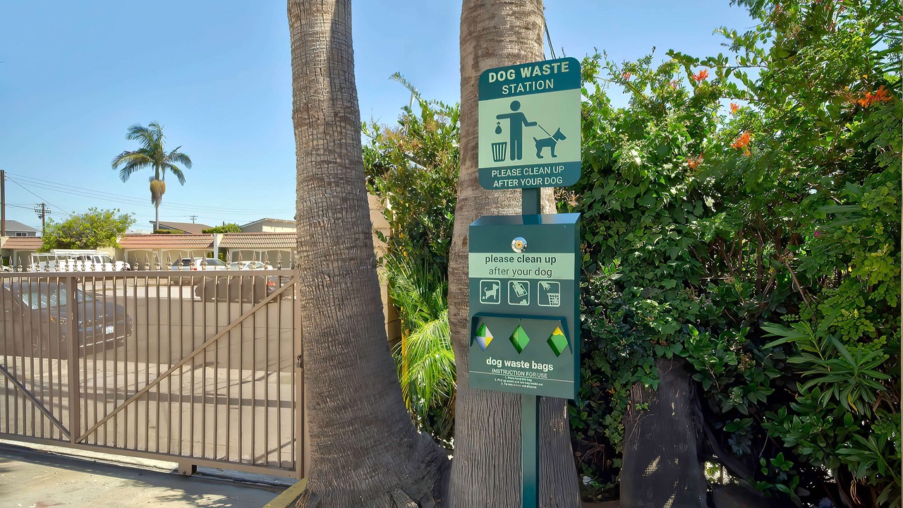 Photo of Outdoor in Lawndale