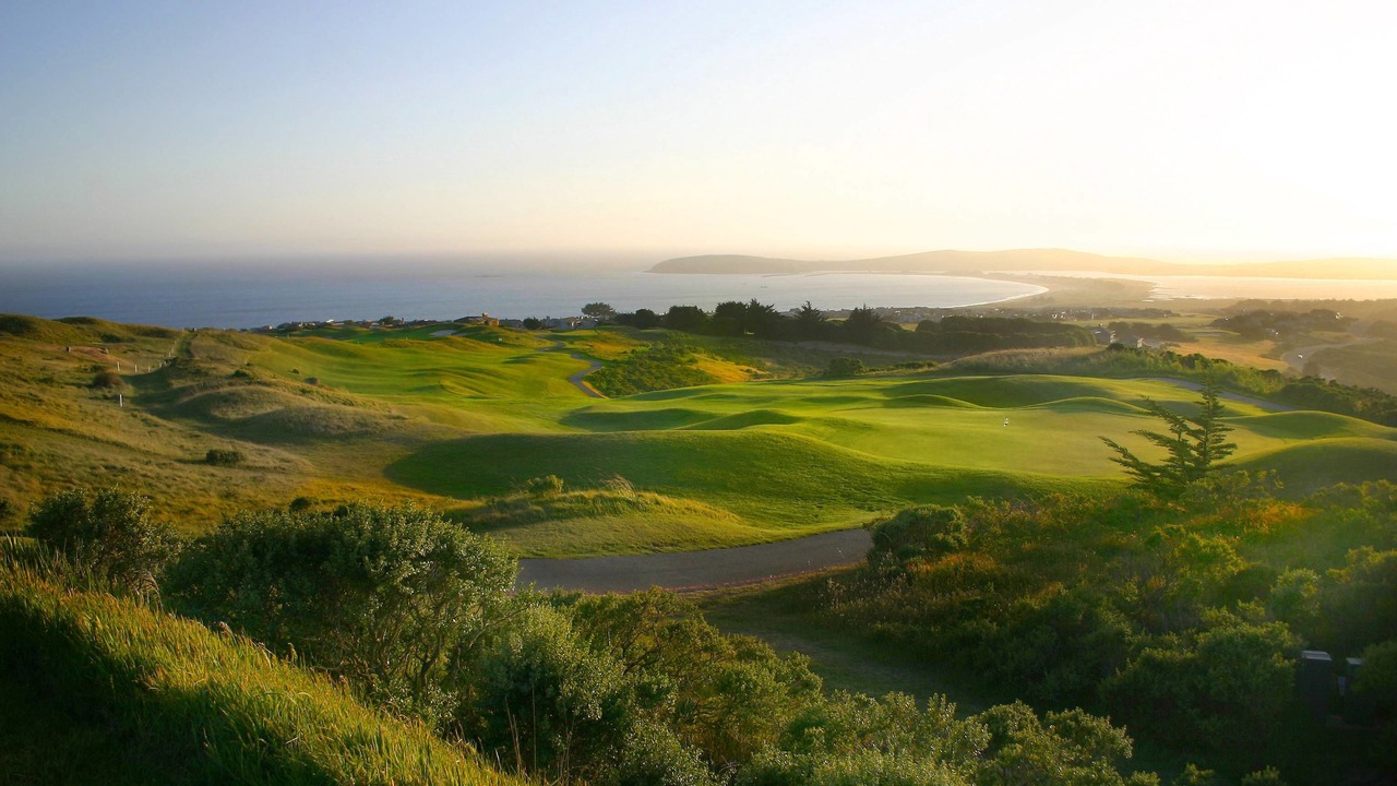 Photo of Others in Bodega Bay