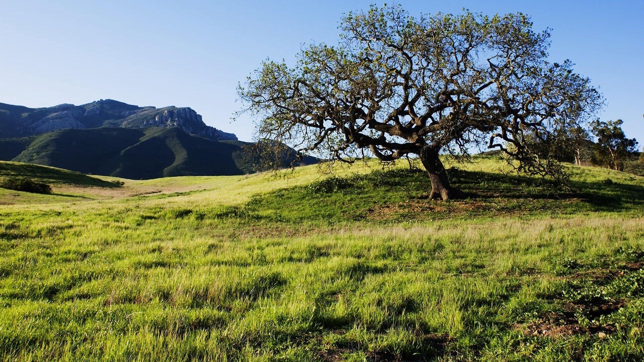 Photo of Others in Thousand Oaks
