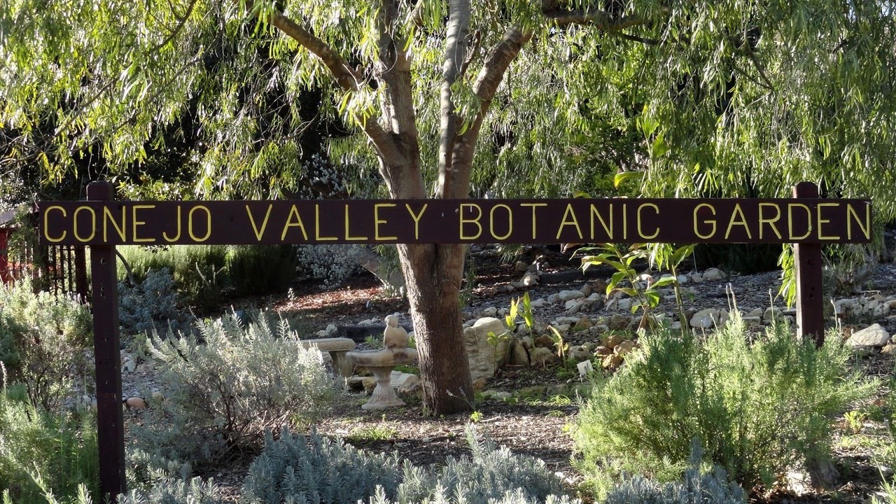 Photo of Others in Thousand Oaks