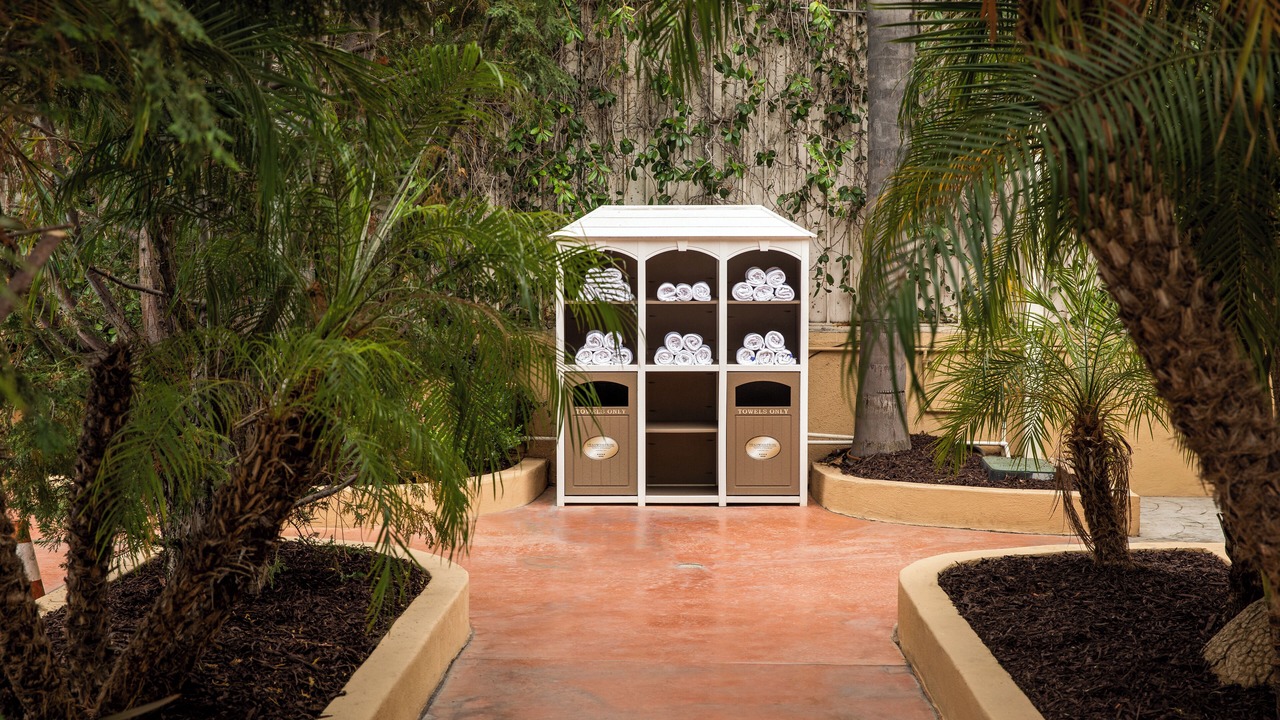 Photo of Outdoor in East Hollywood