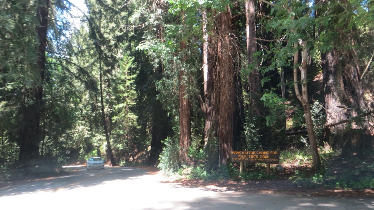 Photo of Outdoor in Big Sur