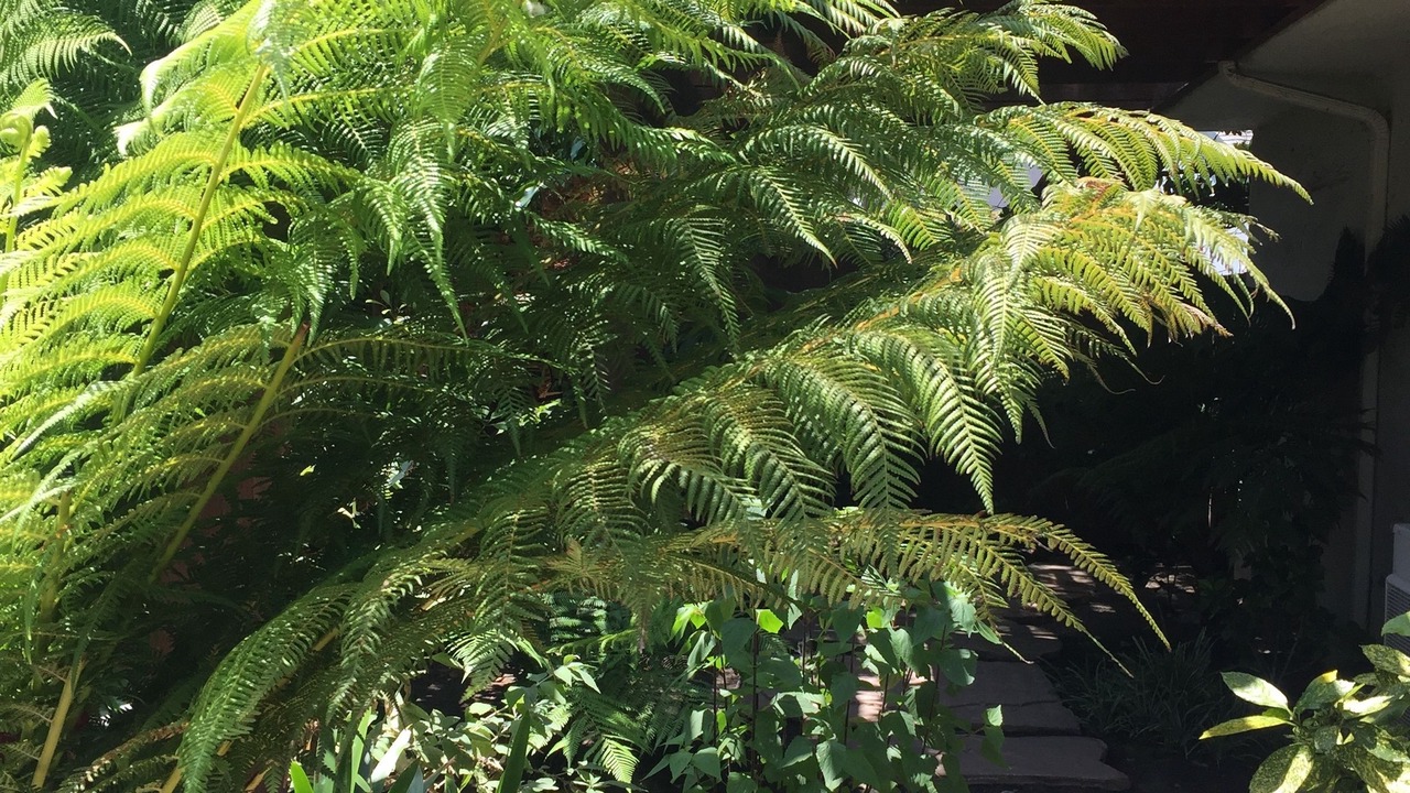 Photo of Outdoor in West Beach