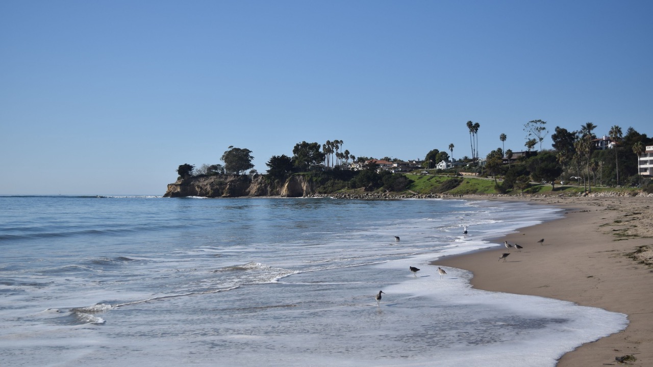 Photo of Others in West Beach