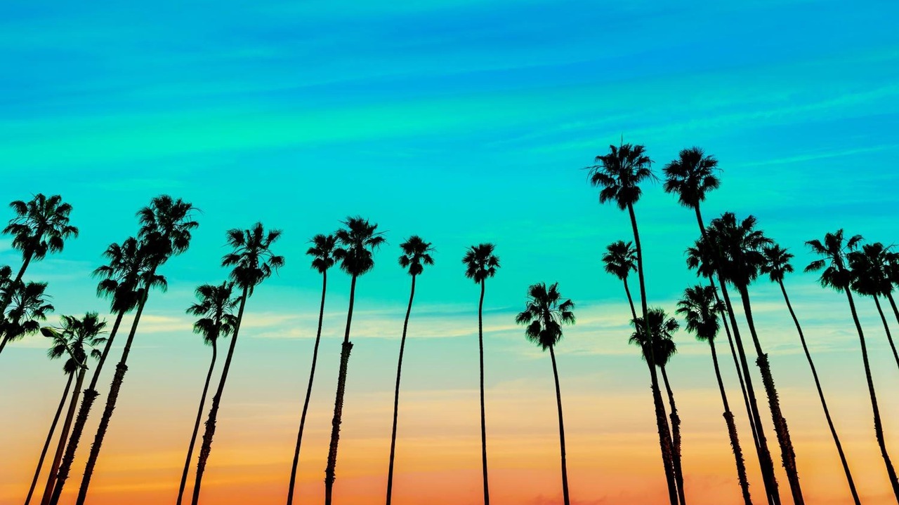 Photo of Others in Canoga Park