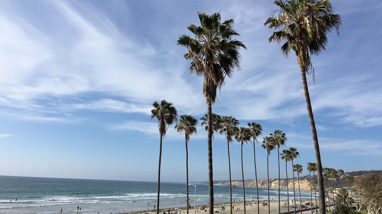 Photo of Others in La Jolla Shores