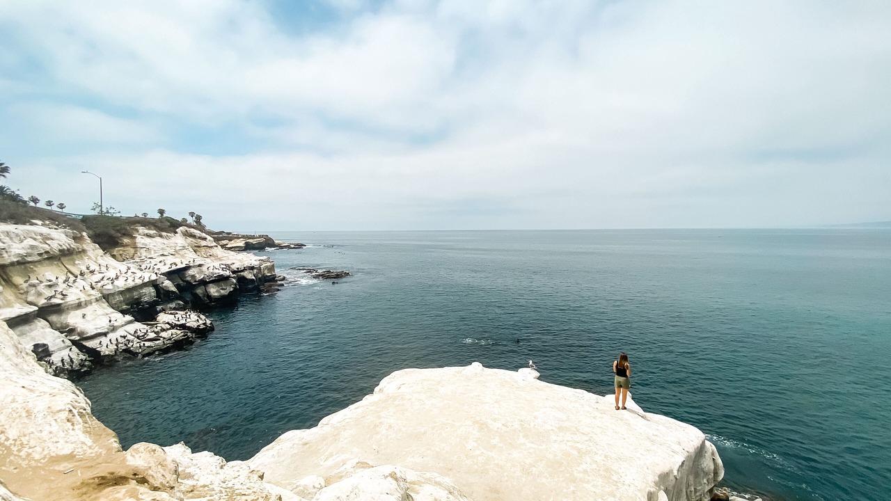 Photo of Others in La Jolla Shores