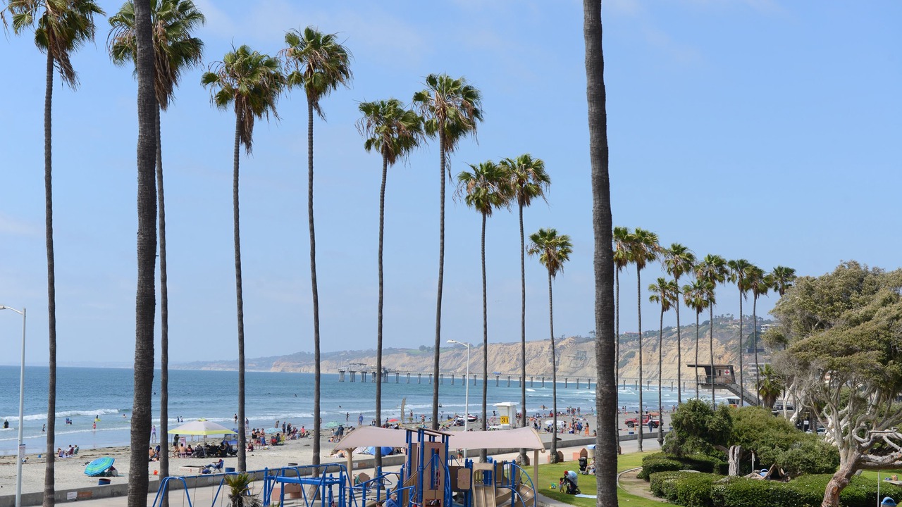 Photo of Outdoor in La Jolla Shores