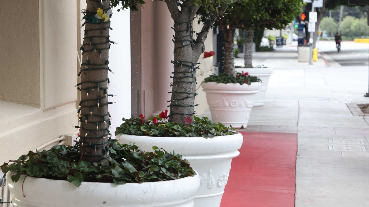 Photo of Outdoor in Downtown