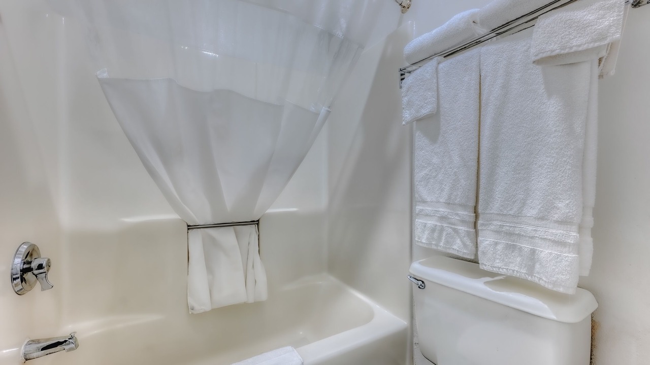 Photo of Bathroom in Needles