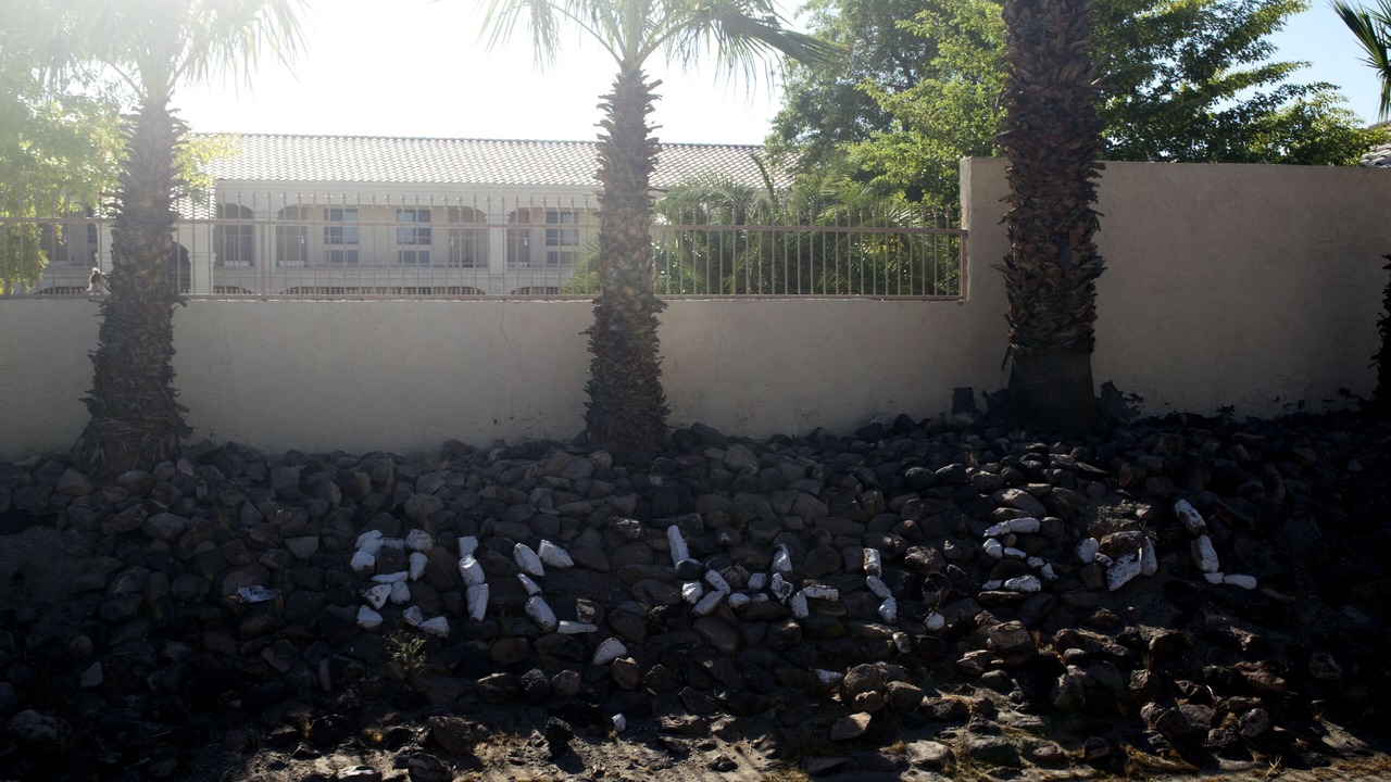 Photo of Outdoor in Needles