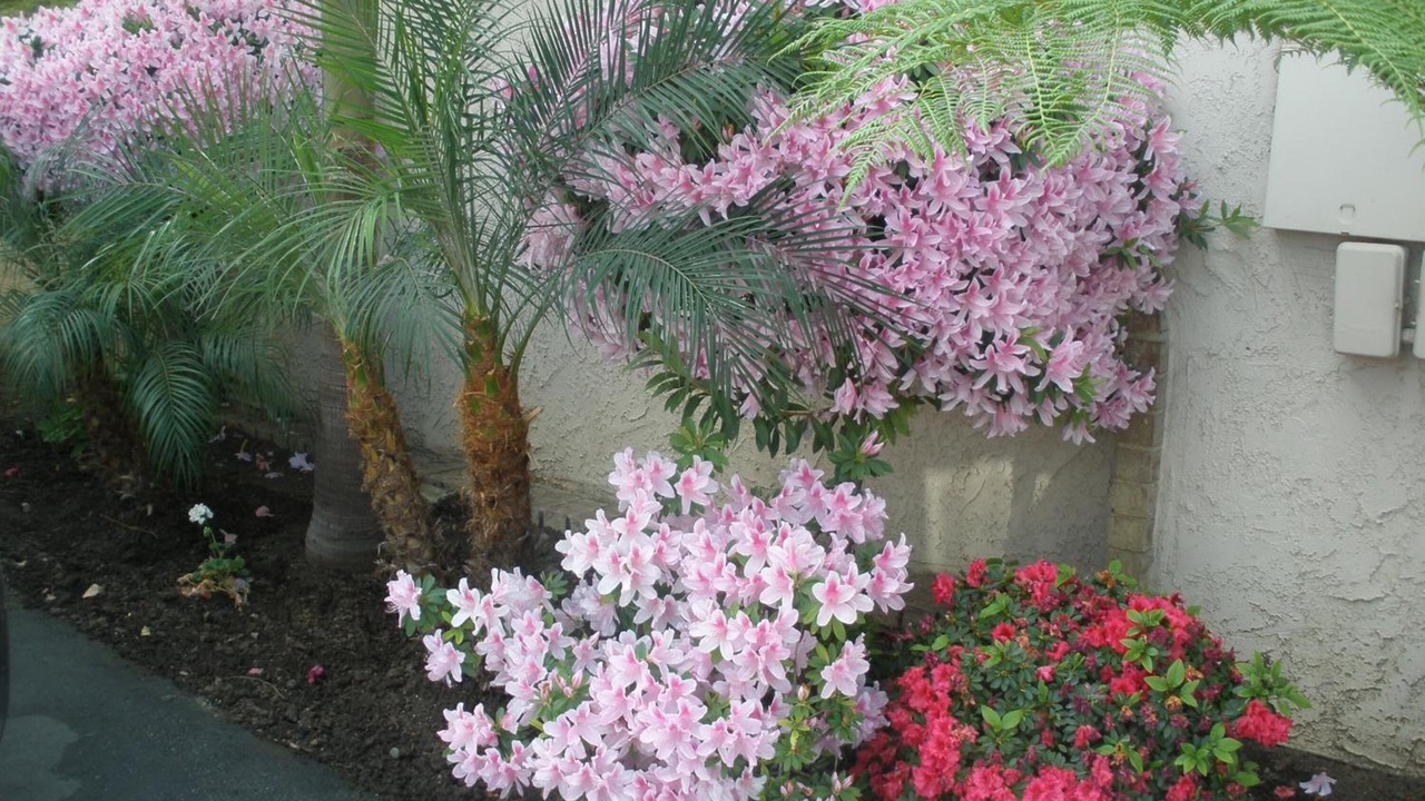 Photo of Outdoor in Glendora