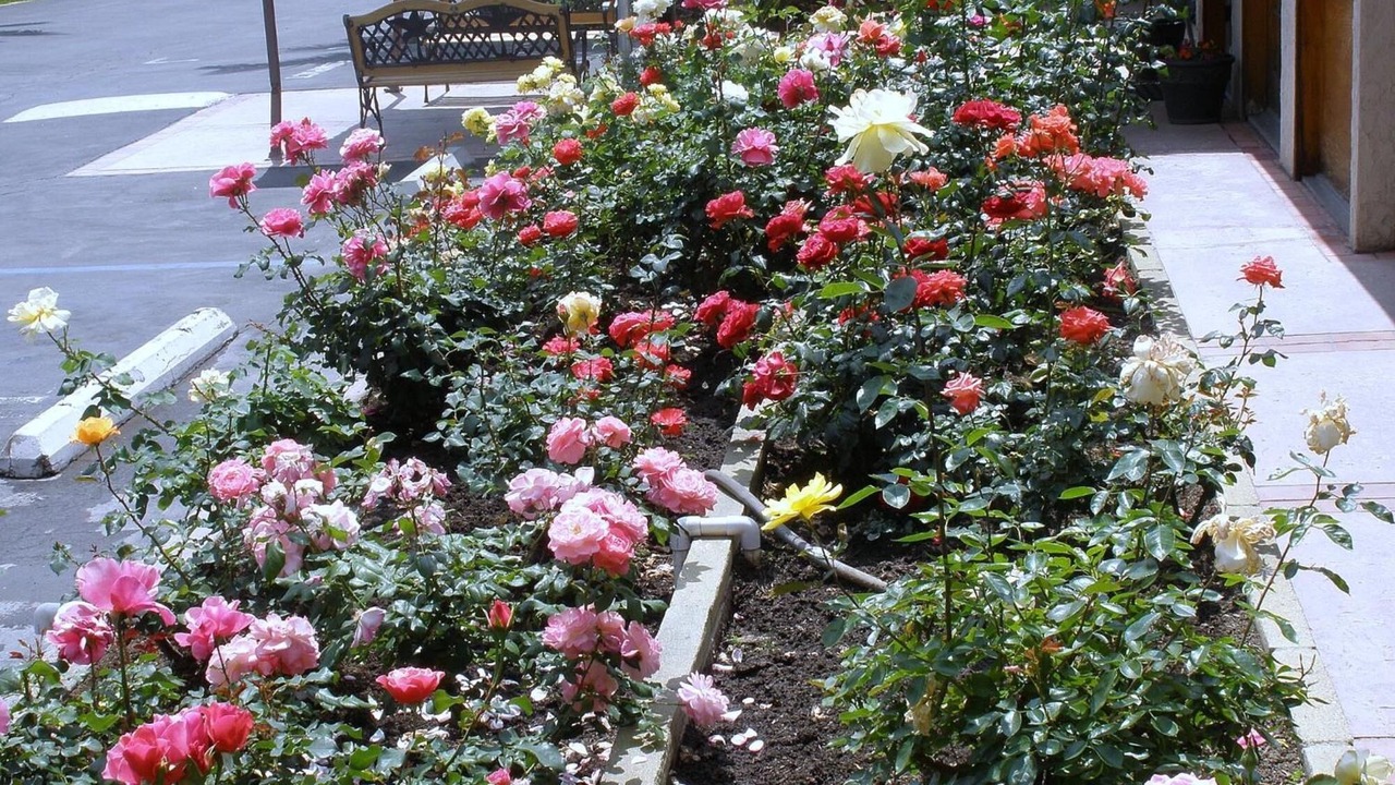 Photo of Outdoor in Glendora