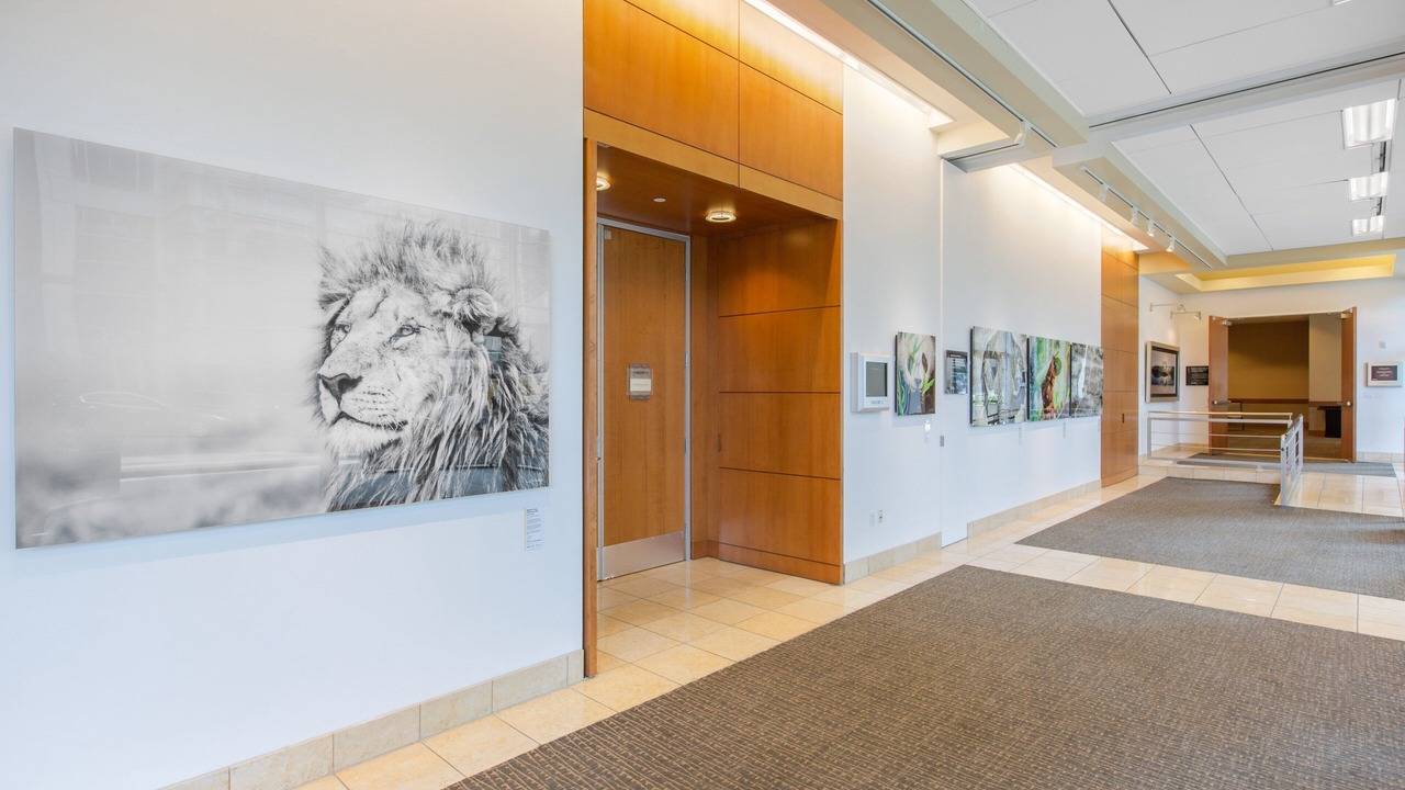 Photo of Others in The Metropolitan Project