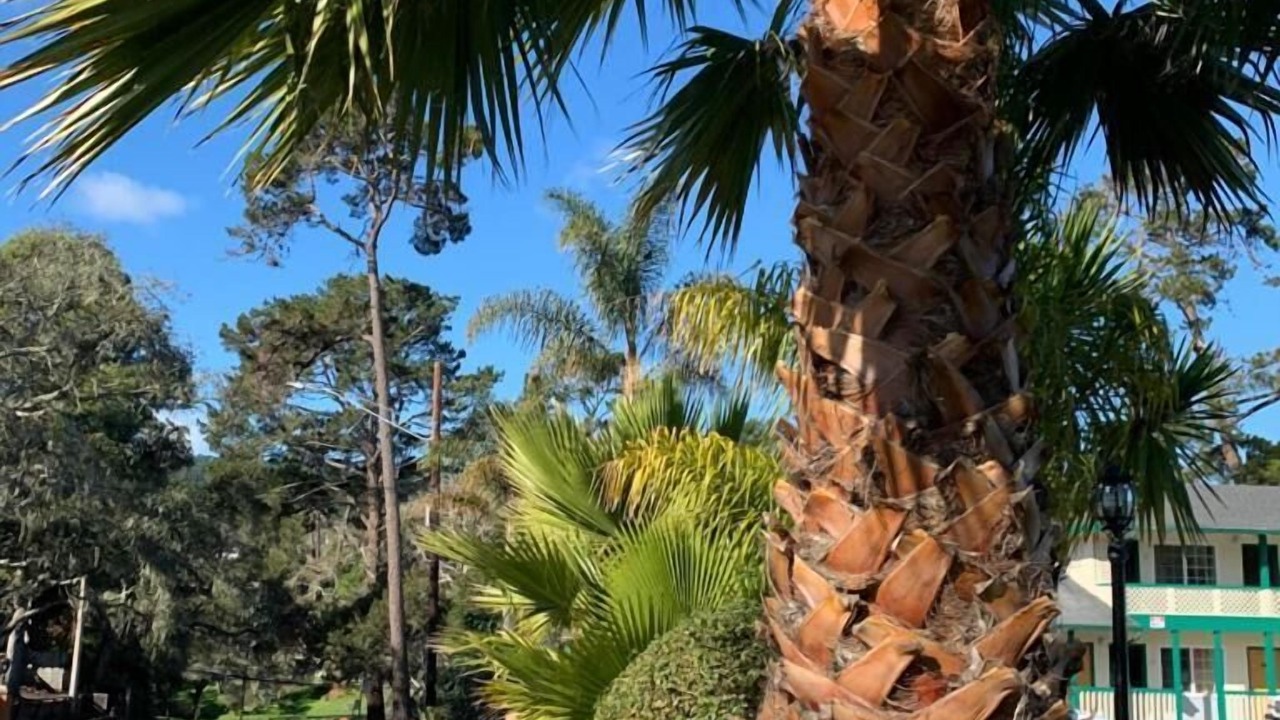 Photo of Outdoor in Munras Avenue