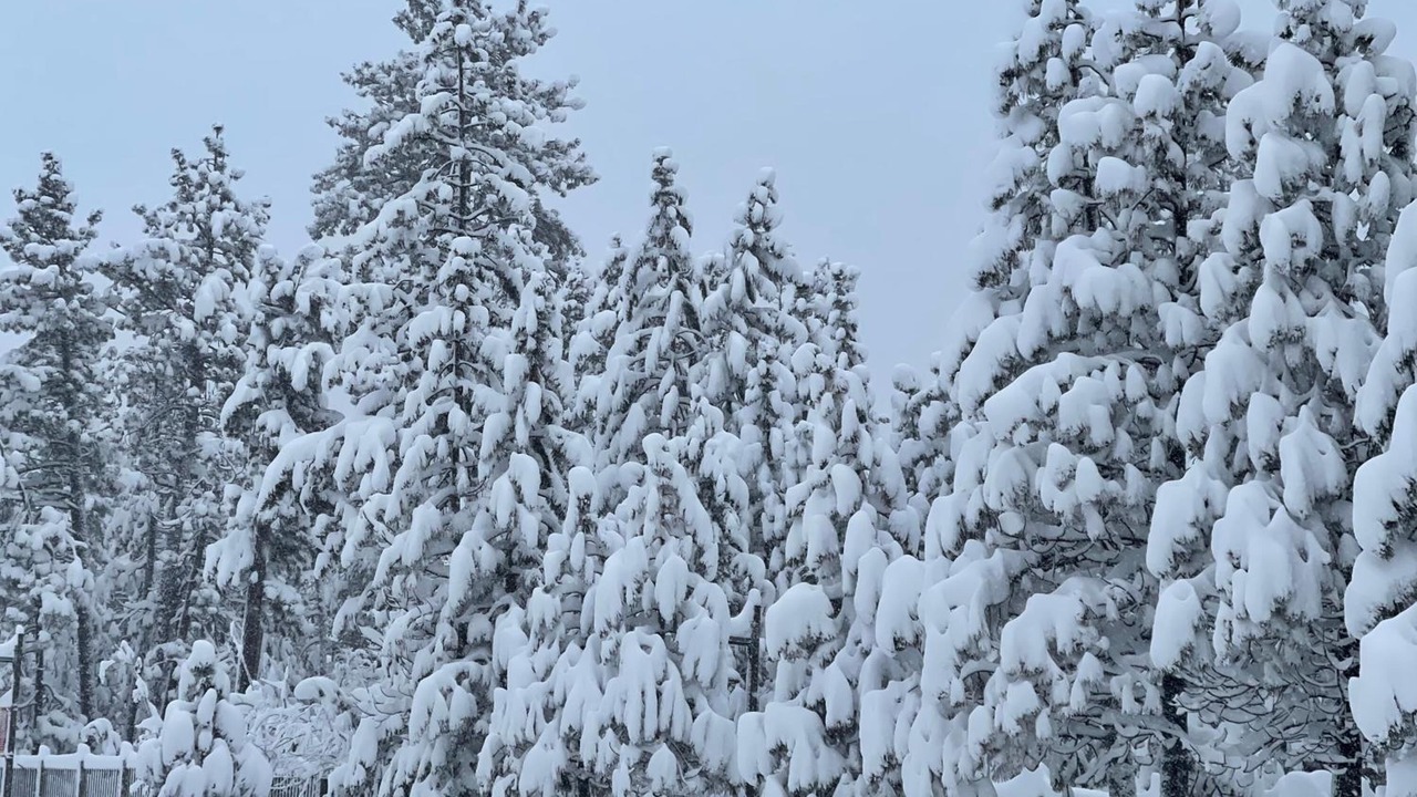 Photo of Outdoor in South Lake Tahoe