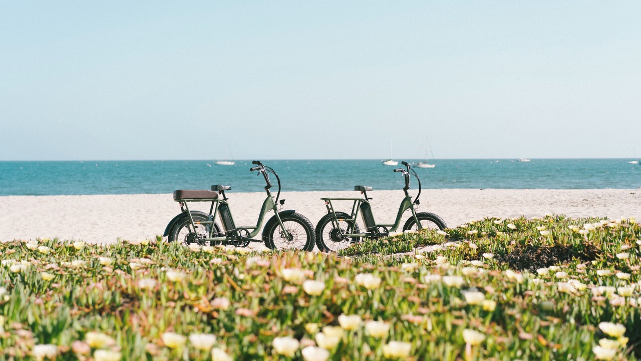 Photo of Others in East Beach