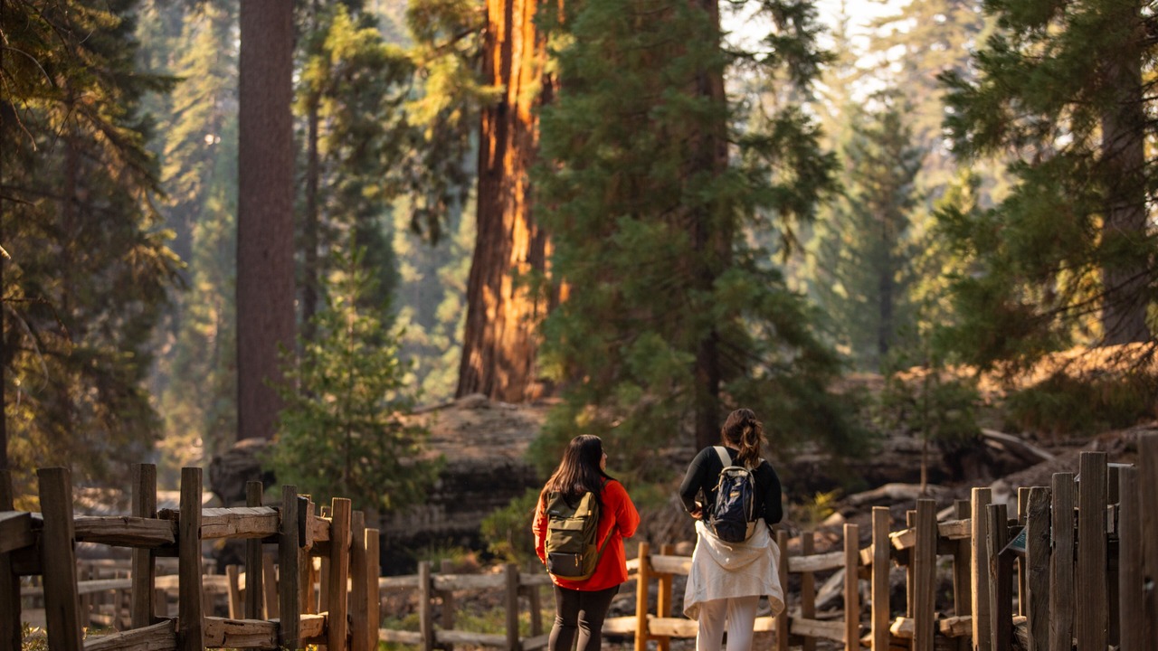 Photo of Outdoor in Sequoia National Park