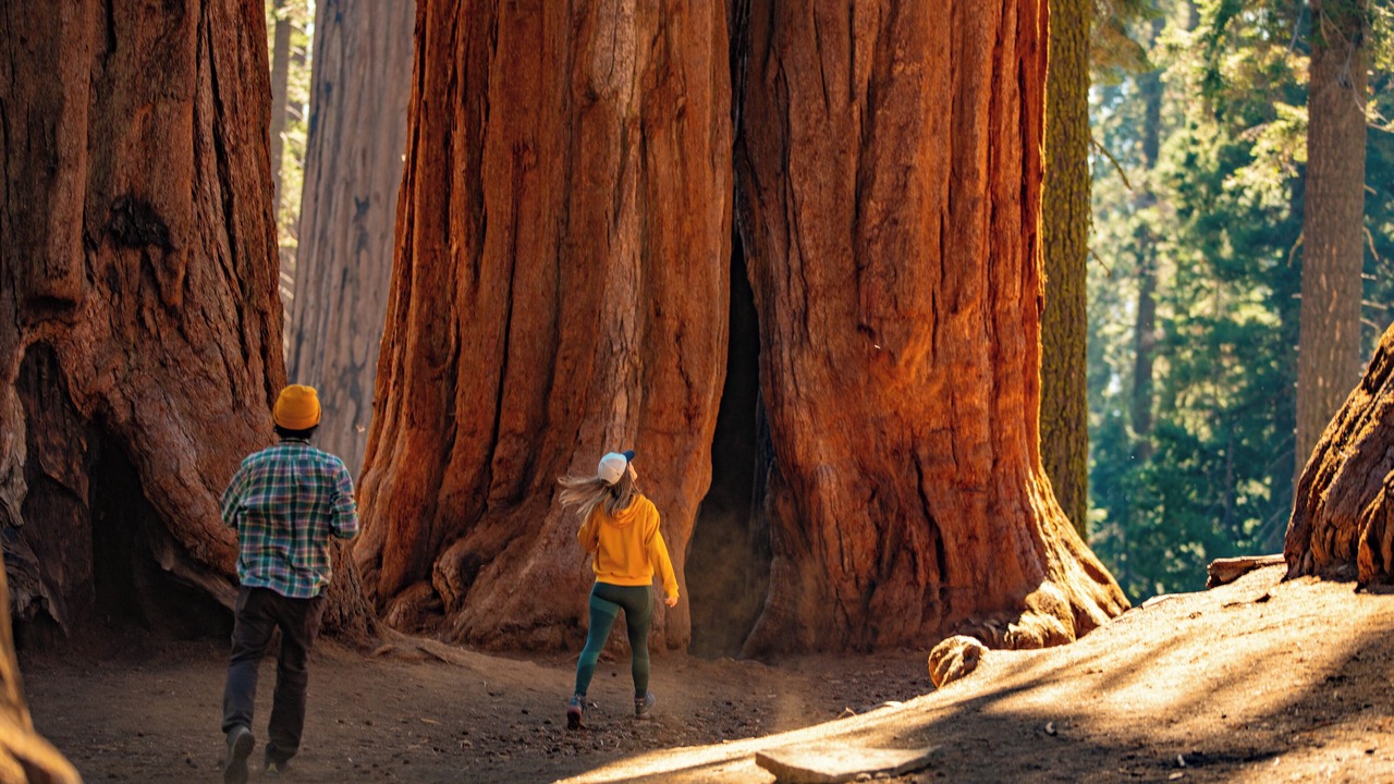 Photo of Outdoor in Sequoia National Park