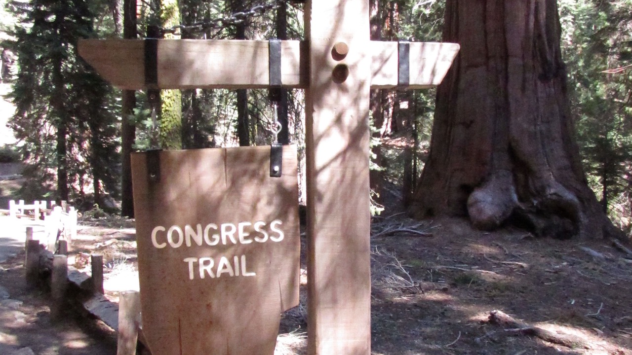 Photo of Others in Sequoia National Park