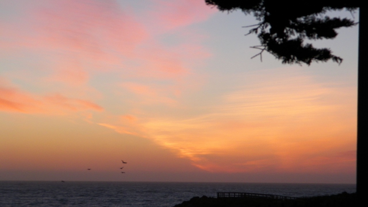 Photo of Others in San Simeon