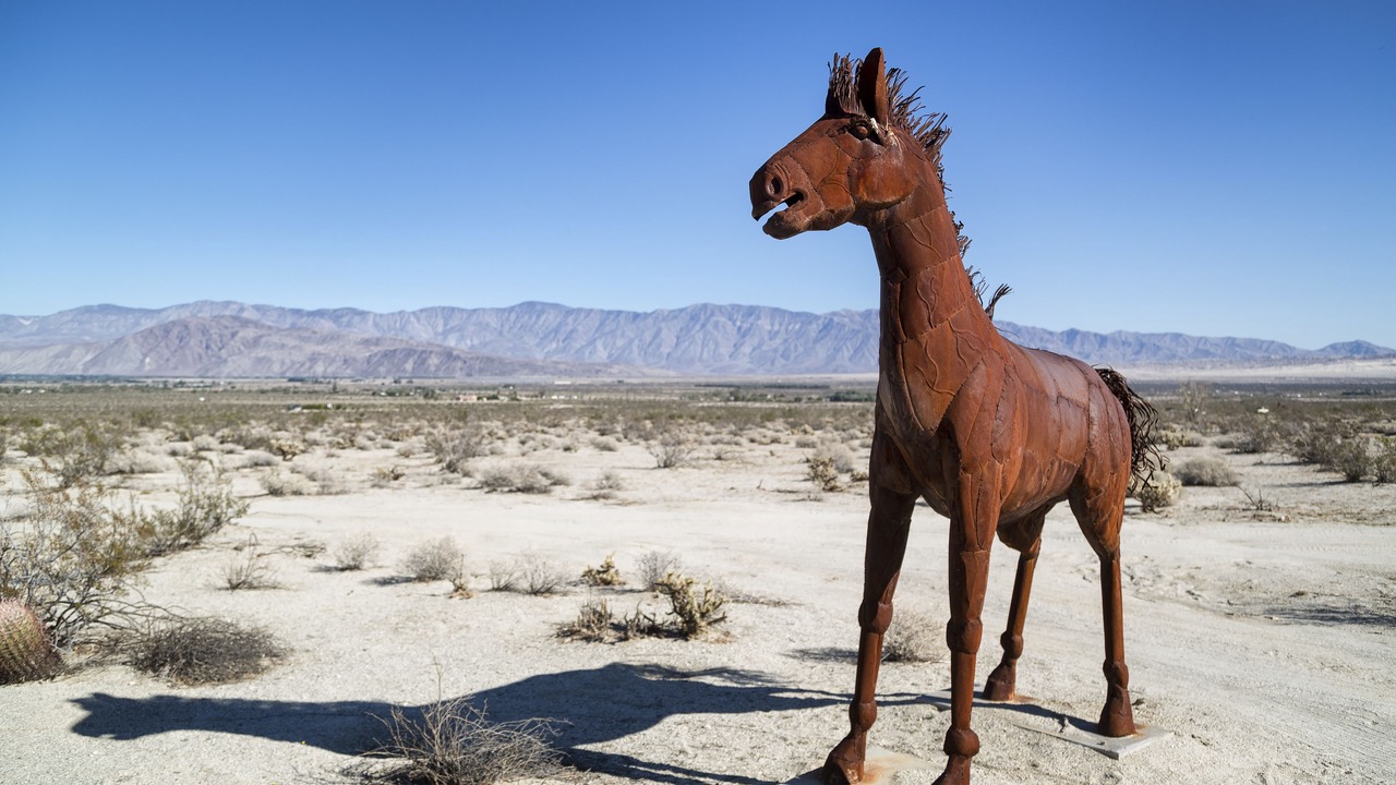 Photo of Others in Borrego Springs