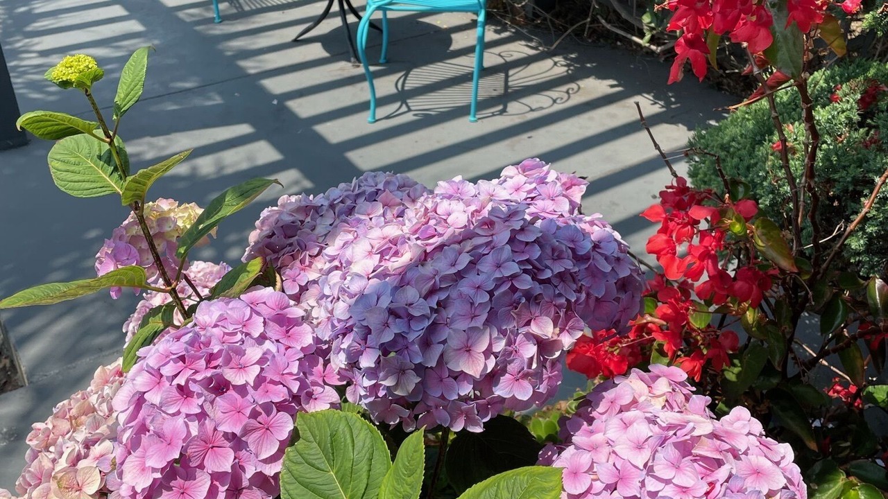 Photo of Patio Balcony in North Fremont Street