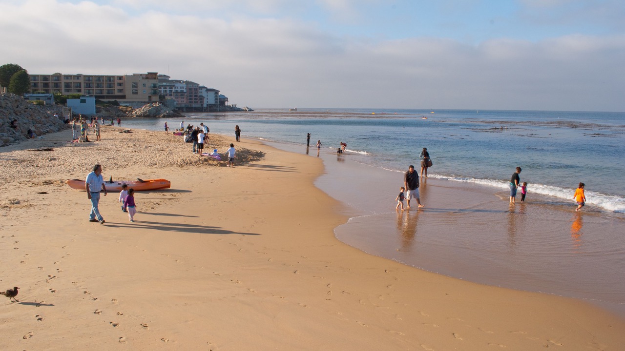 Photo of Others in Monterey