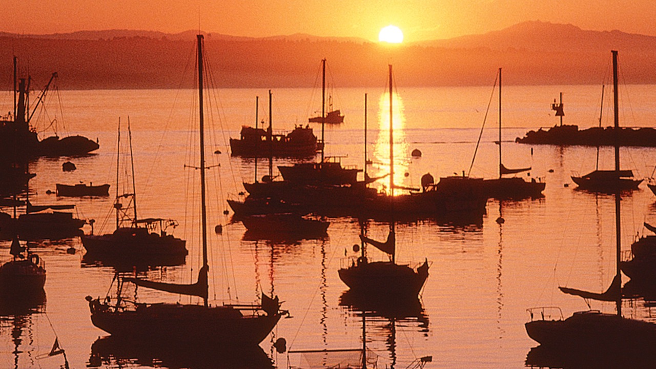 Photo of Others in Monterey