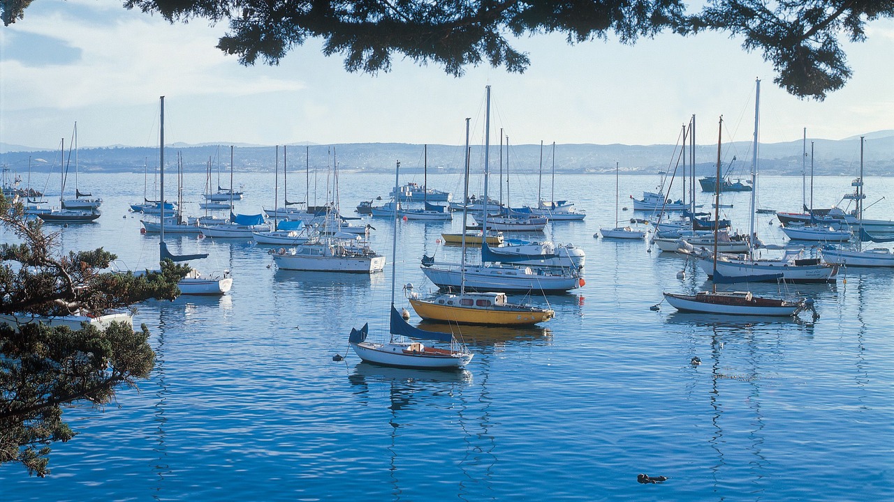 Photo of Others in Monterey