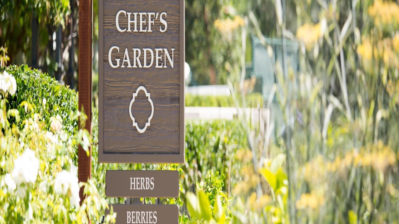 Photo of Outdoor in Rancho Bernardo