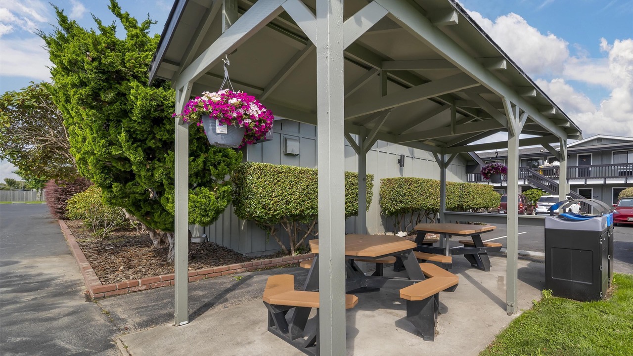 Photo of Outdoor in Pacific