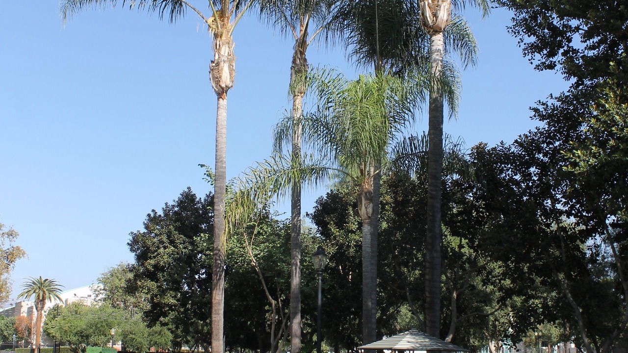 Photo of Outdoor in Bonita